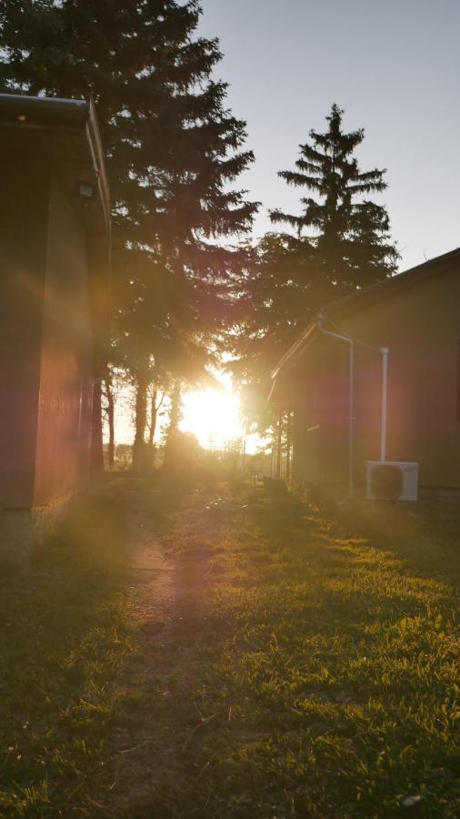 Angyali Hazak Villa Ráckeve Buitenkant foto